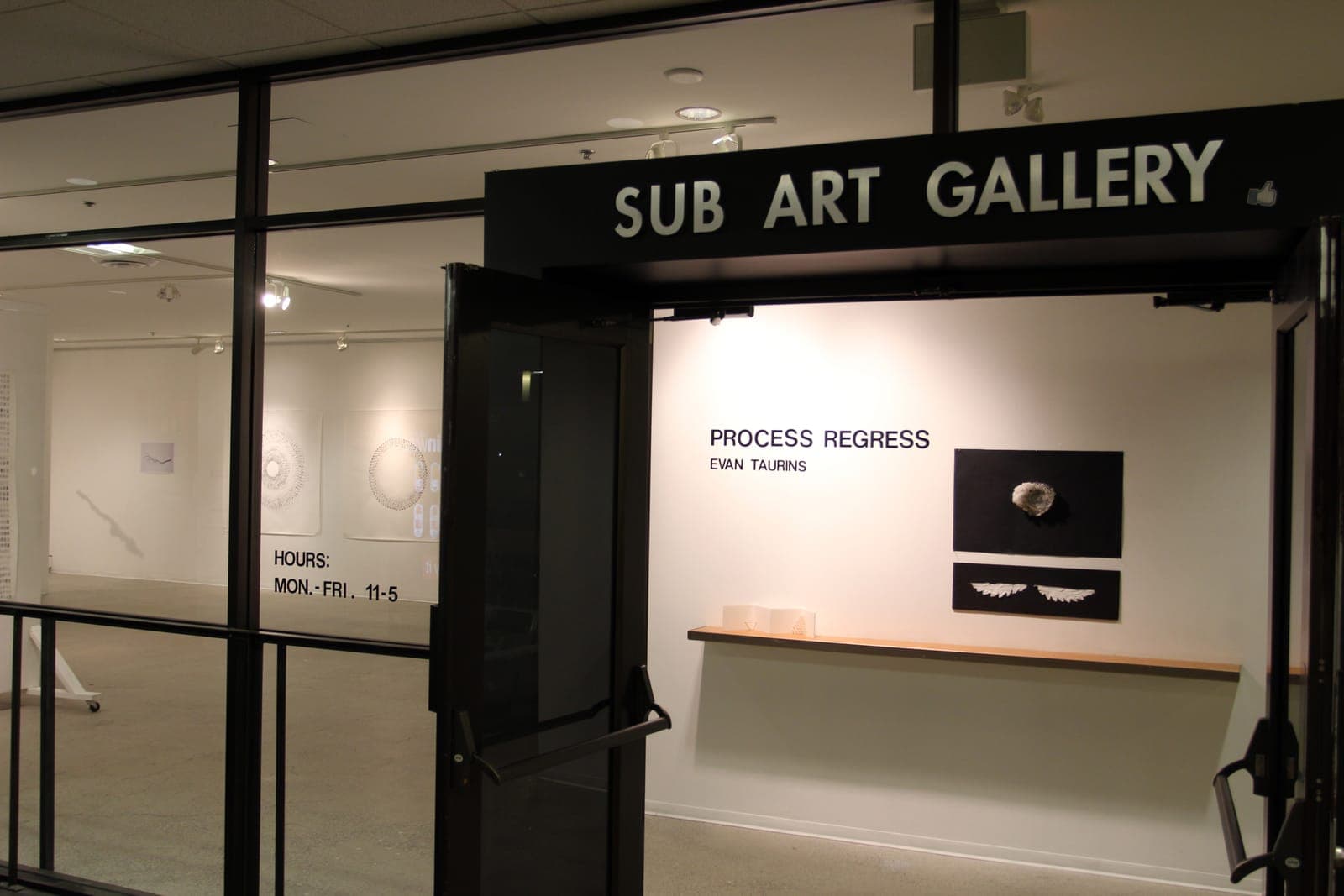 Process Regress Solo Show