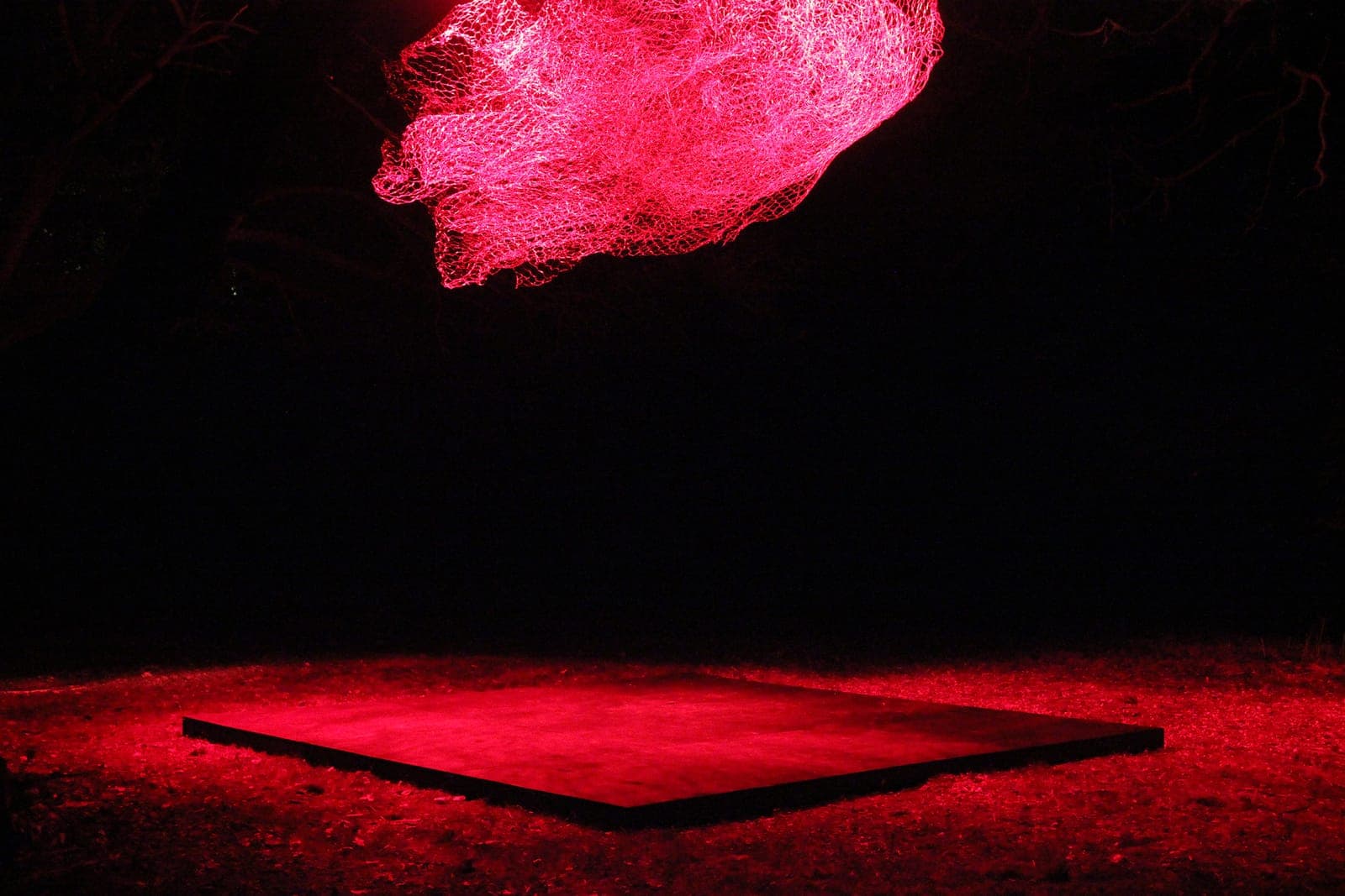 This damn thing won't stop following me around, chicken wire, plywood plinth, studio lights and gels, 2015