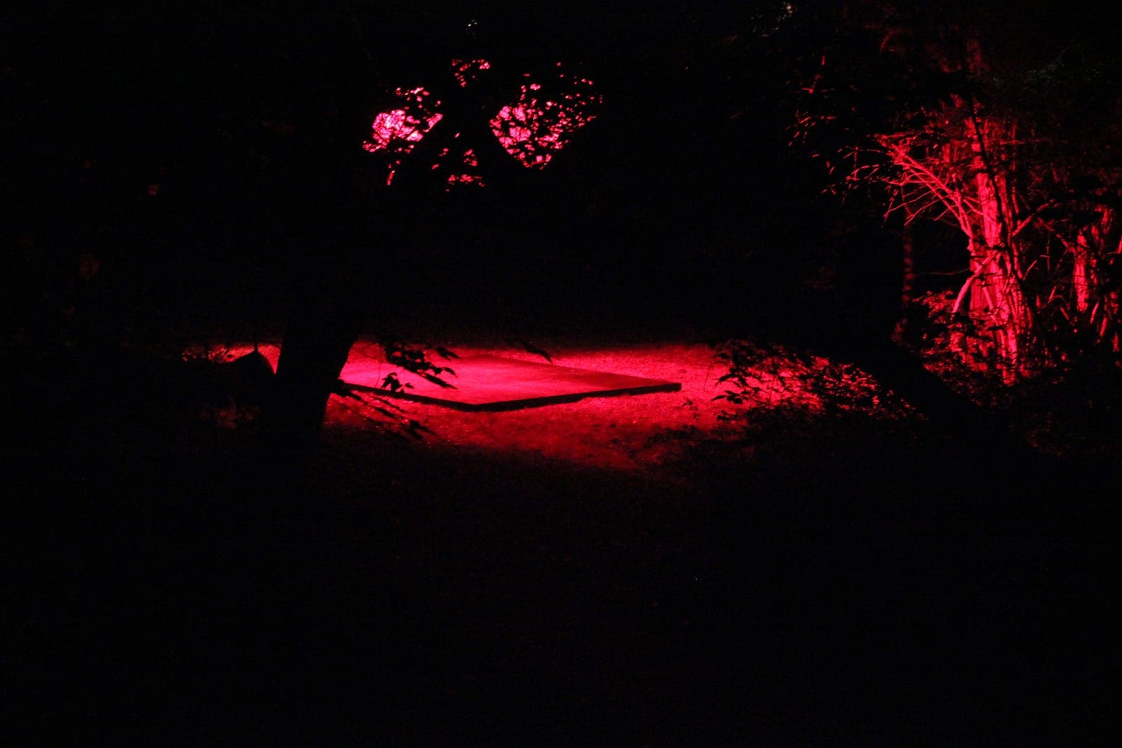 This damn thing won't stop following me around, chicken wire, plywood plinth, studio lights and gels, 2015