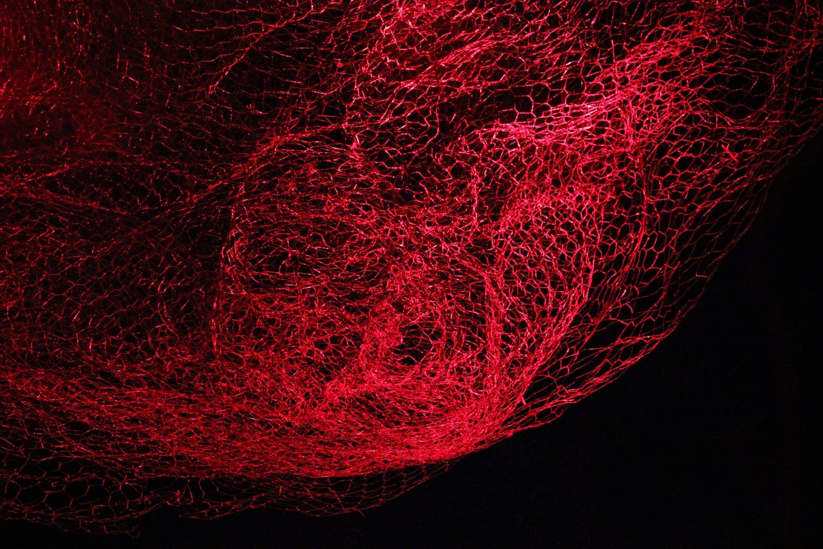 This damn thing won't stop following me around, chicken wire, plywood plinth, studio lights and gels, 2015